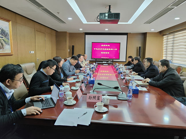 中色（宁夏）东方集团有限公司总经理陈林一行到访凯发K8新材工研院